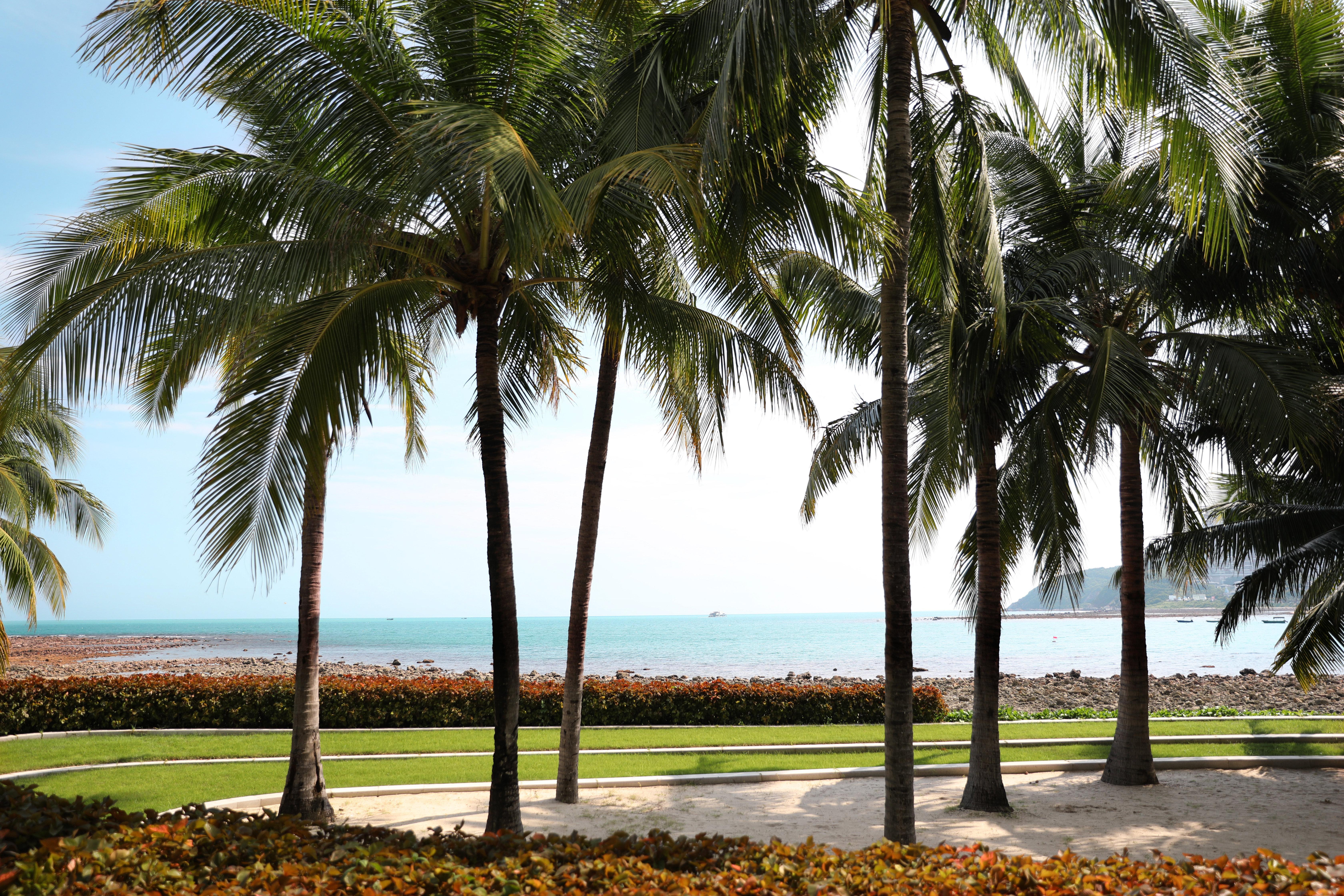 Intercontinental Sanya Resort By Ihg Dış mekan fotoğraf